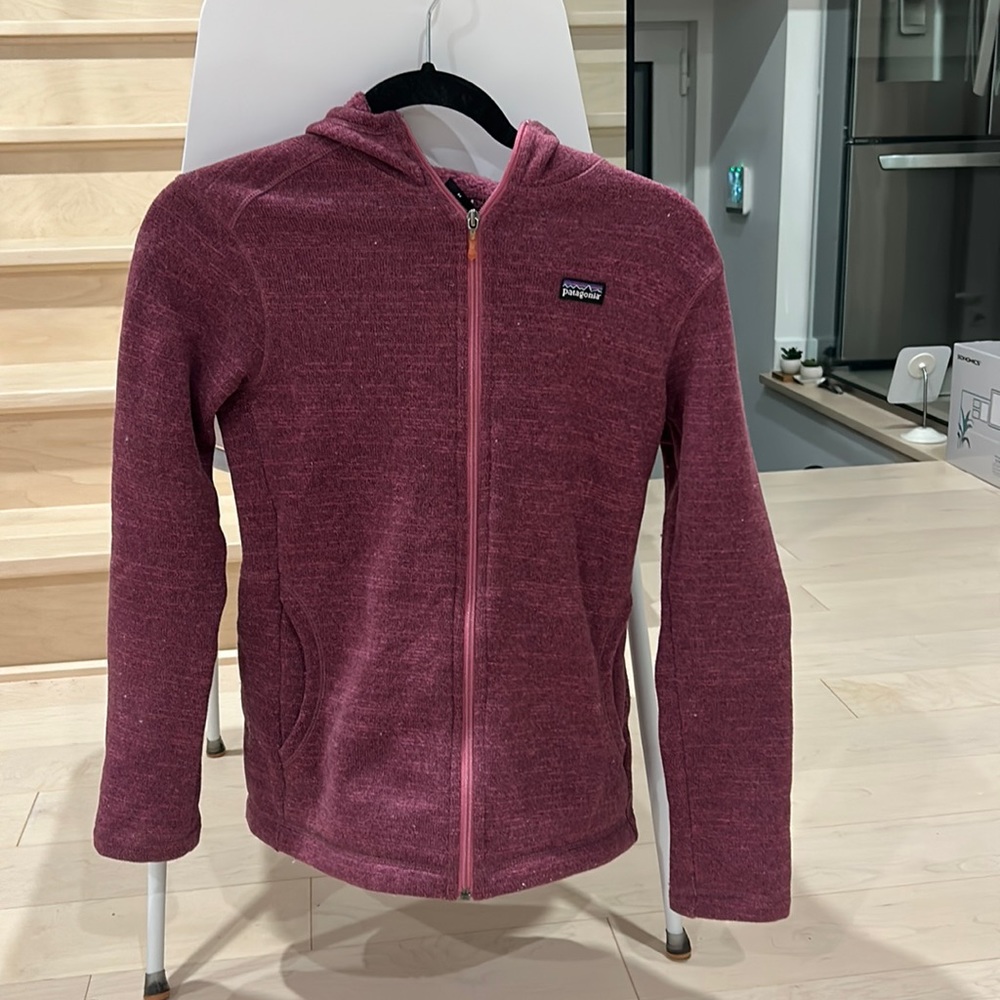 Patagonia hood sweather